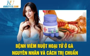 Bệnh viêm ruột hoại tử ở gà – Nguyên nhân và cách trị chuẩn