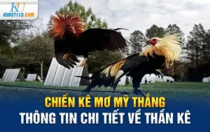 Chiến kê Mơ Mỹ Thắng -Thông tin chi tiết về Thần kê