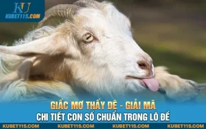 Giấc mơ thấy dê – Giải mã chi tiết con số chuẩn trong lô đề