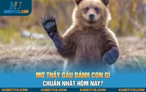 Mơ thấy gấu đánh con gì chuẩn nhất hôm nay?