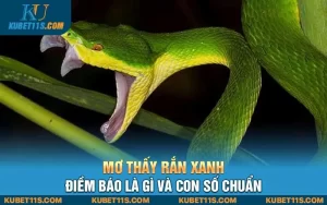 Mơ thấy rắn xanh – Điềm báo là gì và con số chuẩn