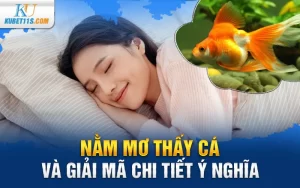 Nằm mơ thấy cá và giải mã chi tiết ý nghĩa