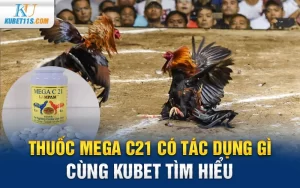 Thuốc Mega C21 có tác dụng gì – Cùng Kubet tìm hiểu